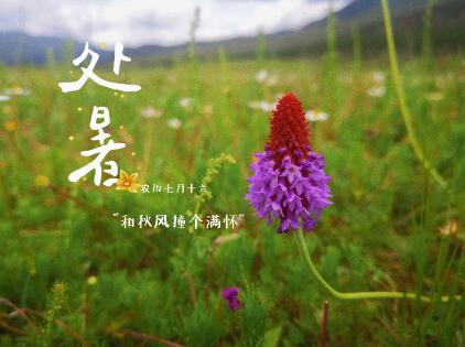 处暑节气吃什么养生，处暑节气应该怎么养生