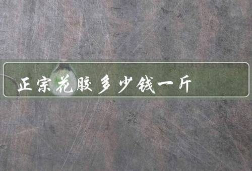 正宗花胶多少钱一斤，一般200元／斤（花胶怎么泡发）